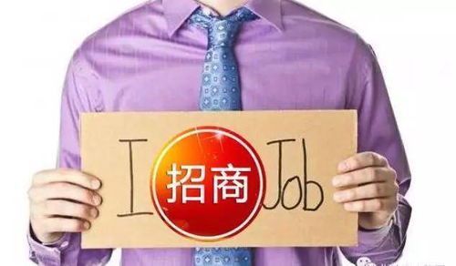 2020，招商承包 专业之刃，破局之道